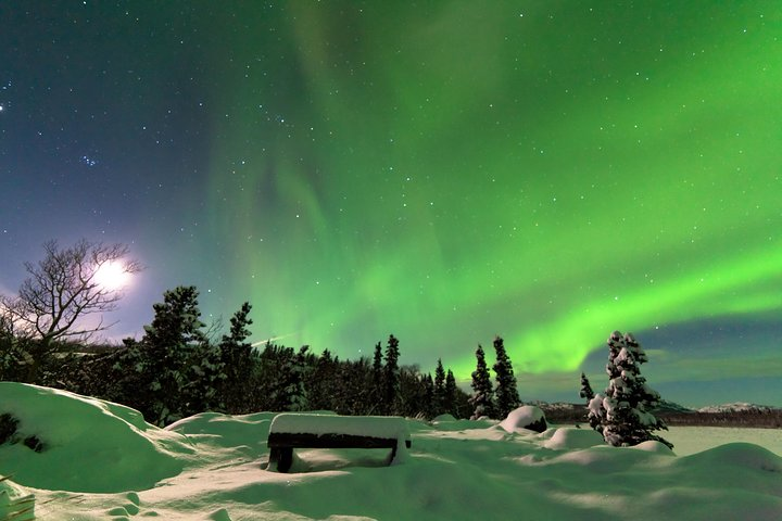 Northern Lights Overnight Tour with Dog Sledding